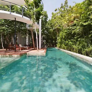 new-private-pool-jacuzzi-luxury-4br-jungle-tulum.tulum-hotels.net/