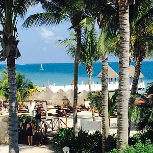 casa-alegria.allrivieramayahotels.com/